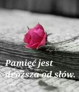 Obrazek wybrany przez użytkownika
