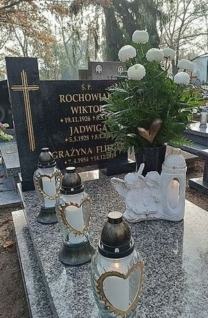 Obrazek wybrany przez użytkownika