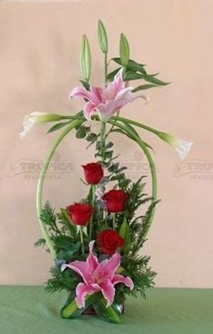 Image chosen by user