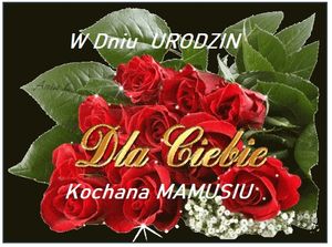 Image chosen by user