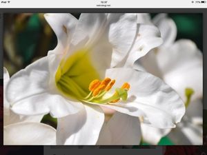 Image chosen by user