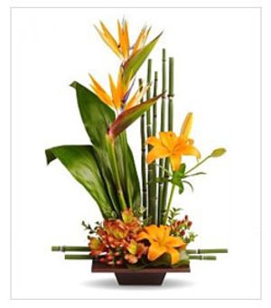 Image chosen by user