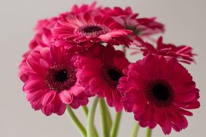 Image chosen by user