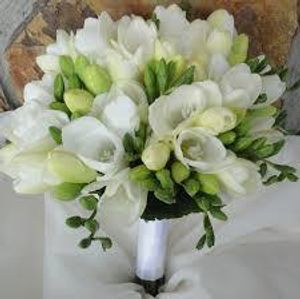 Image chosen by user