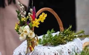 Image chosen by user