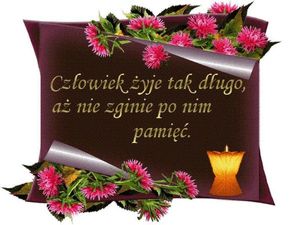 Obrazek wybrany przez użytkownika