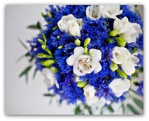 Image chosen by user