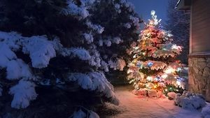 Image chosen by user