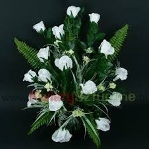 Image chosen by user