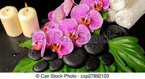 Image chosen by user