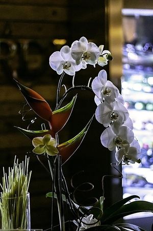 Image chosen by user
