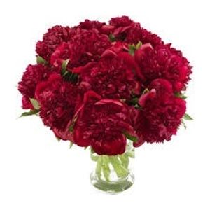 Image chosen by user