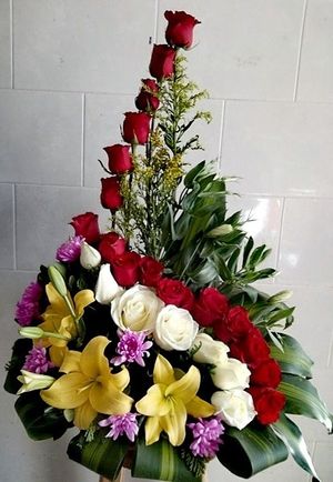 Image chosen by user