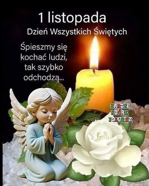 Obrazek wybrany przez użytkownika