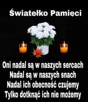 Obrazek wybrany przez użytkownika