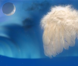 Image chosen by user