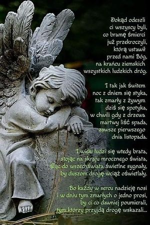 Obrazek wybrany przez użytkownika