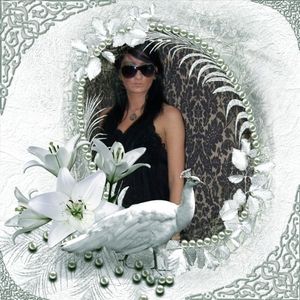 Image chosen by user