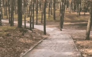 Obrazek wybrany przez użytkownika