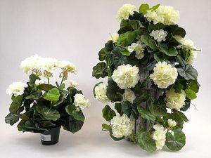 Image chosen by user