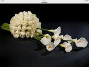 Image chosen by user