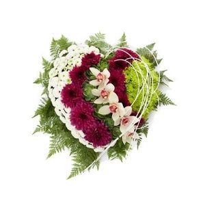 Image chosen by user