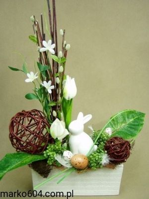 Image chosen by user