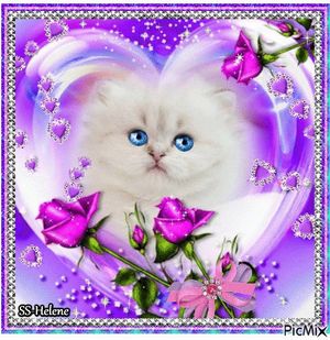 Image chosen by user