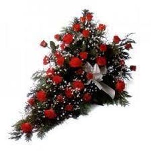 Image chosen by user