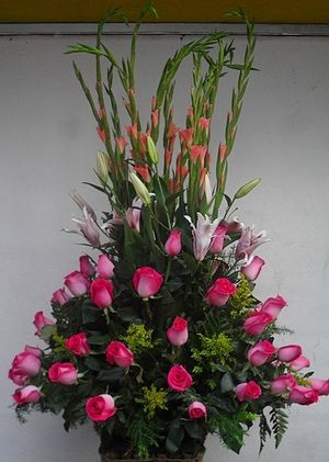 Image chosen by user