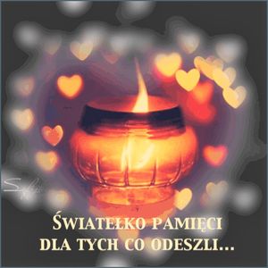 Obrazek wybrany przez użytkownika