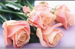 Image chosen by user