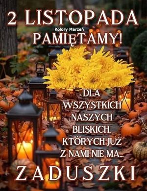 Obrazek wybrany przez użytkownika