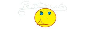 Image chosen by user
