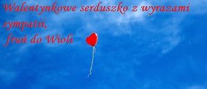 Obrazek wybrany przez użytkownika