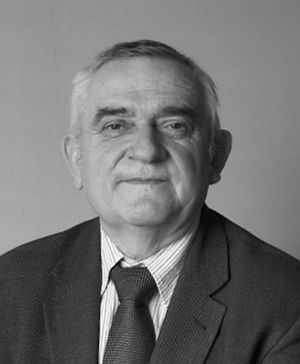 Obrazek wybrany przez użytkownika