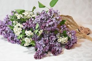 Image chosen by user