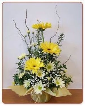 Image chosen by user