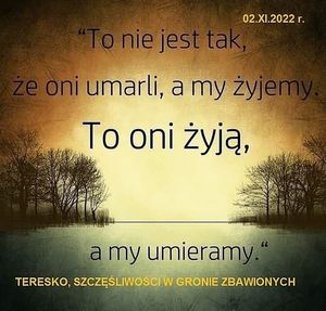 Obrazek wybrany przez użytkownika