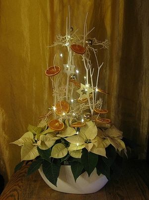 Image chosen by user