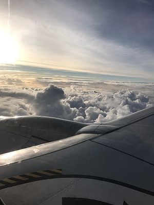 Image chosen by user
