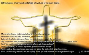 Obrazek wybrany przez użytkownika