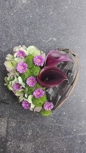 Image chosen by user