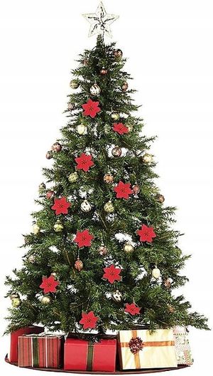 Image chosen by user