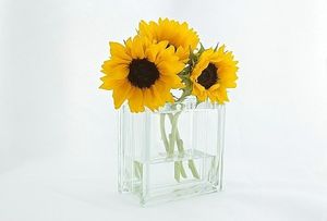 Image chosen by user
