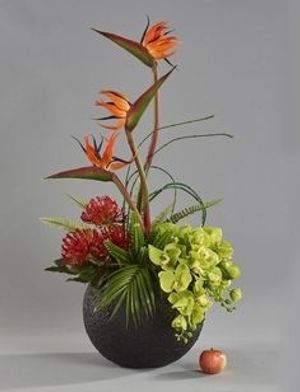 Image chosen by user