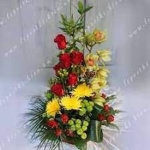 Image chosen by user