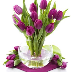 Image chosen by user