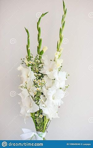 Image chosen by user