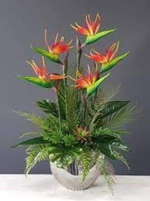 Image chosen by user